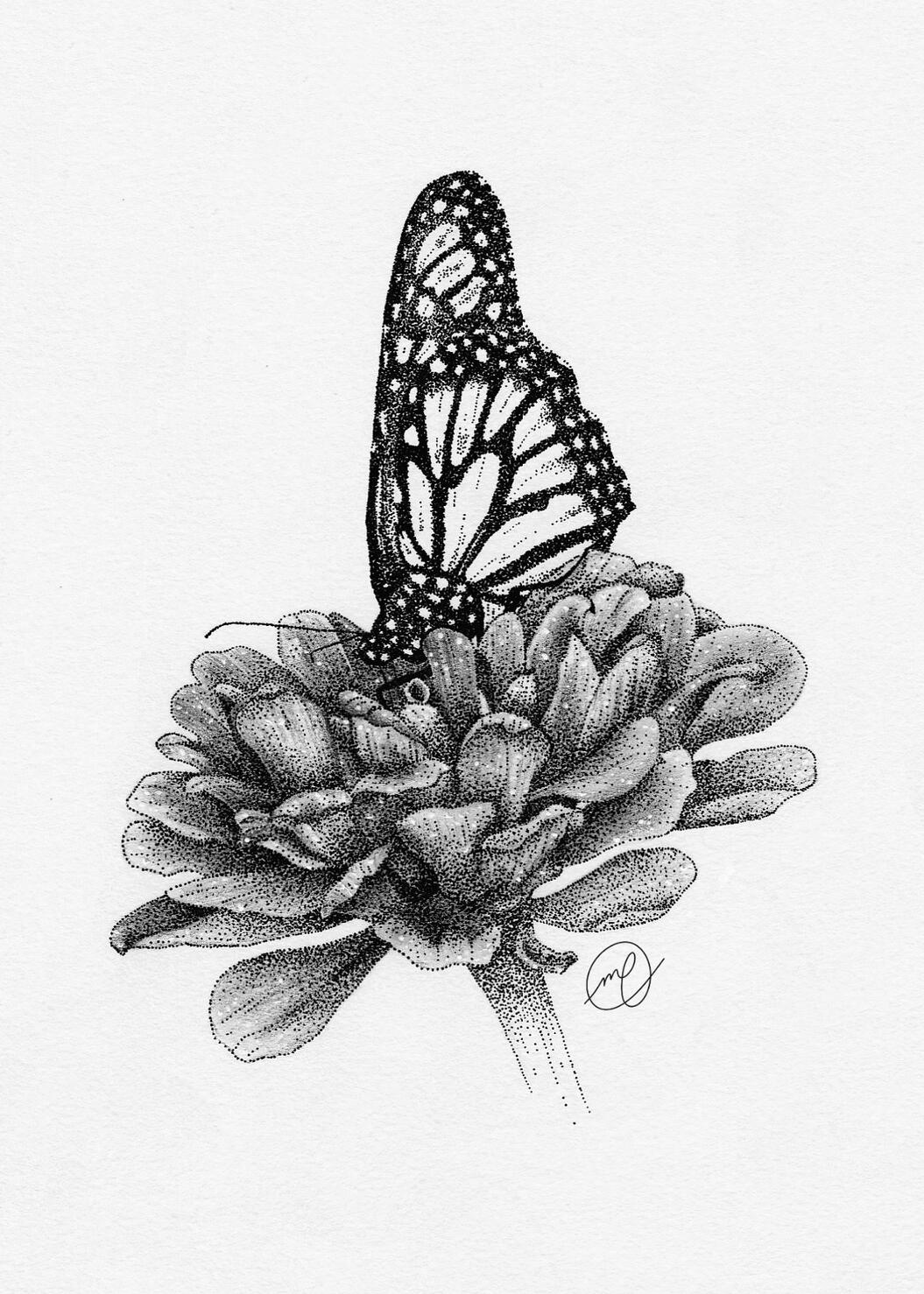 "Monarca", 2025 graphite and ink on paper INSERT DIMENSIONS