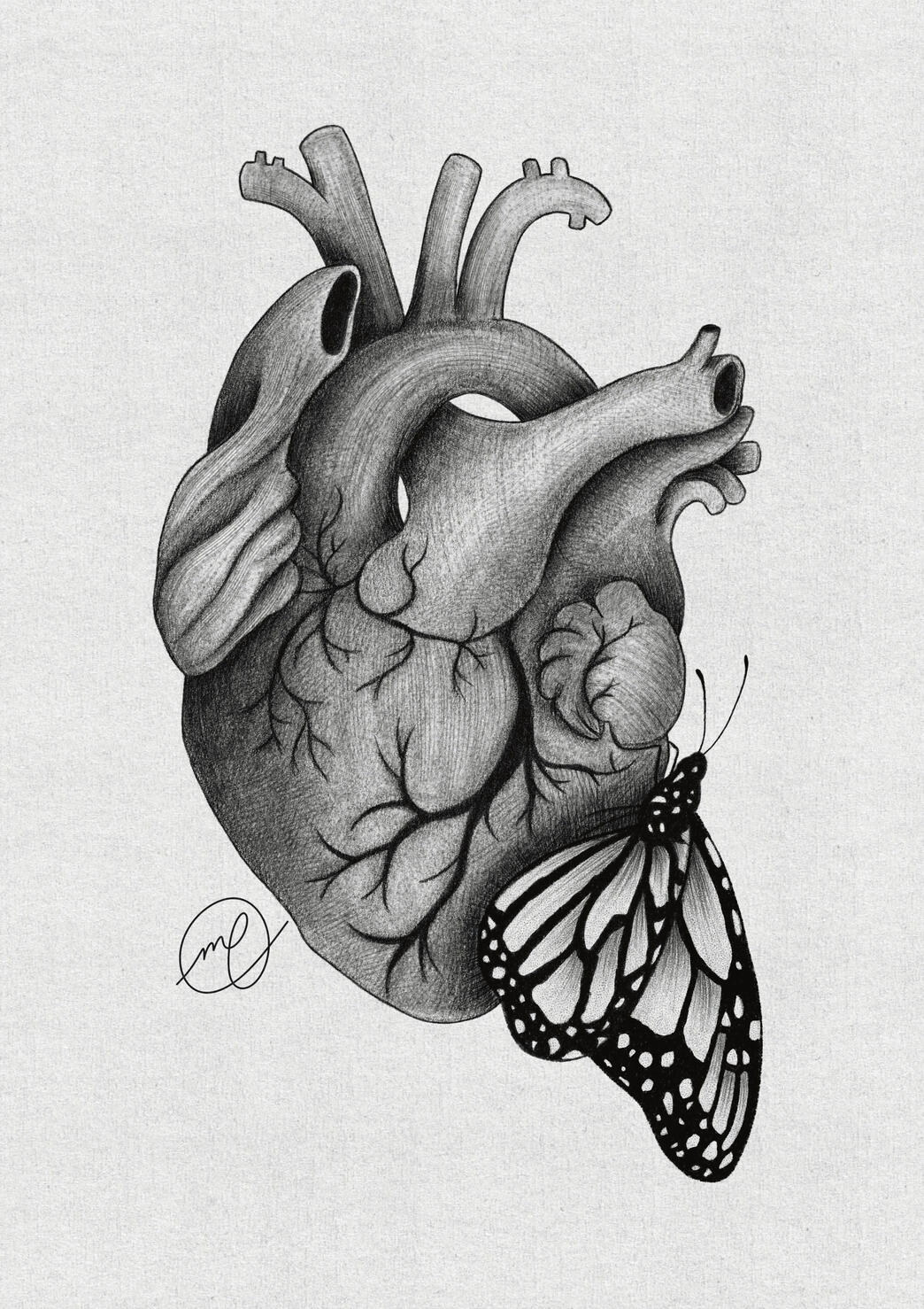 "Flutter", 2023 charcoal and graphite on paper, digital 8.27 x 11.69"